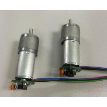 Permanent magnet 12v dc motor with gearbox